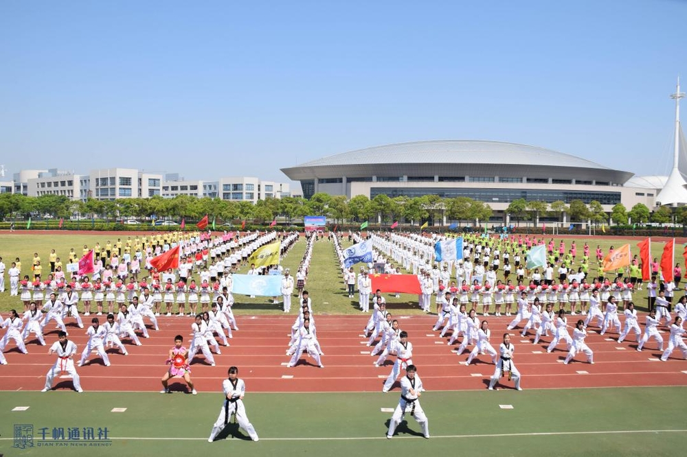武术表演