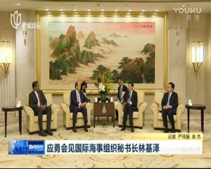 应勇会见国际海事组织秘书长林基泽