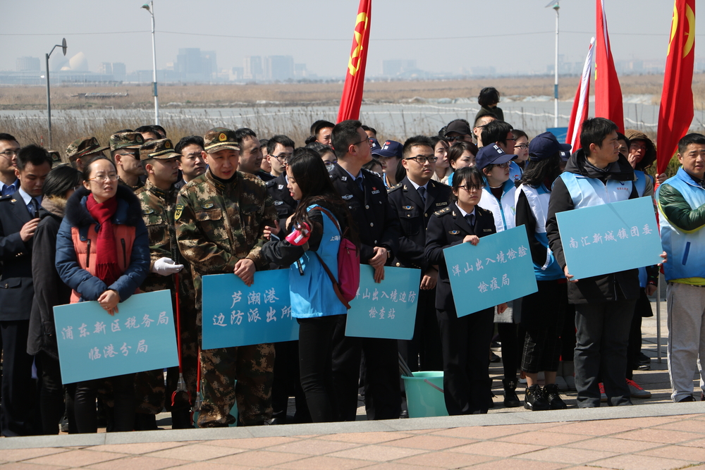临港各单位参加活动的青年志愿者们