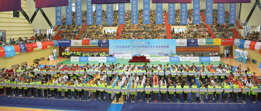 武术锦标赛现场