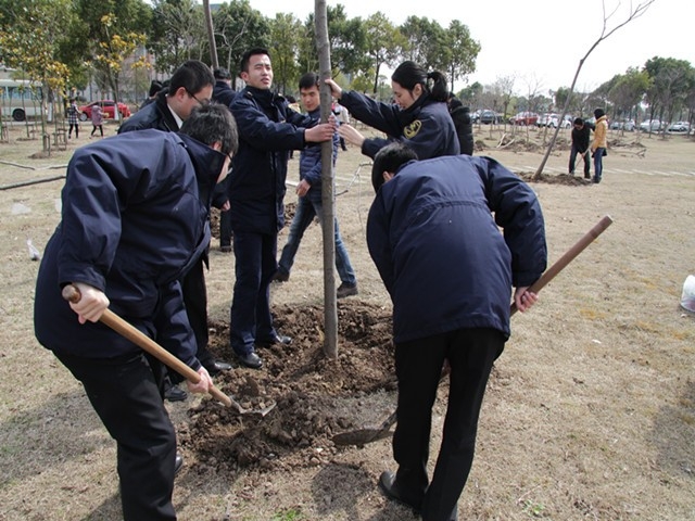 为校园添新绿