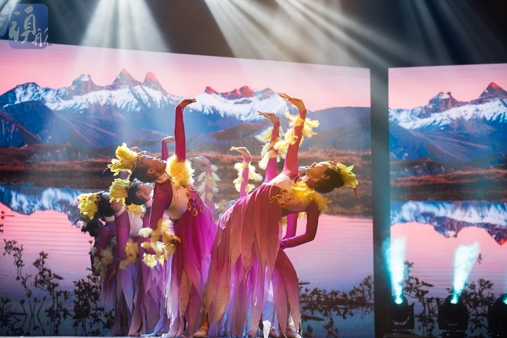 《募鸟笛韵》作品表演