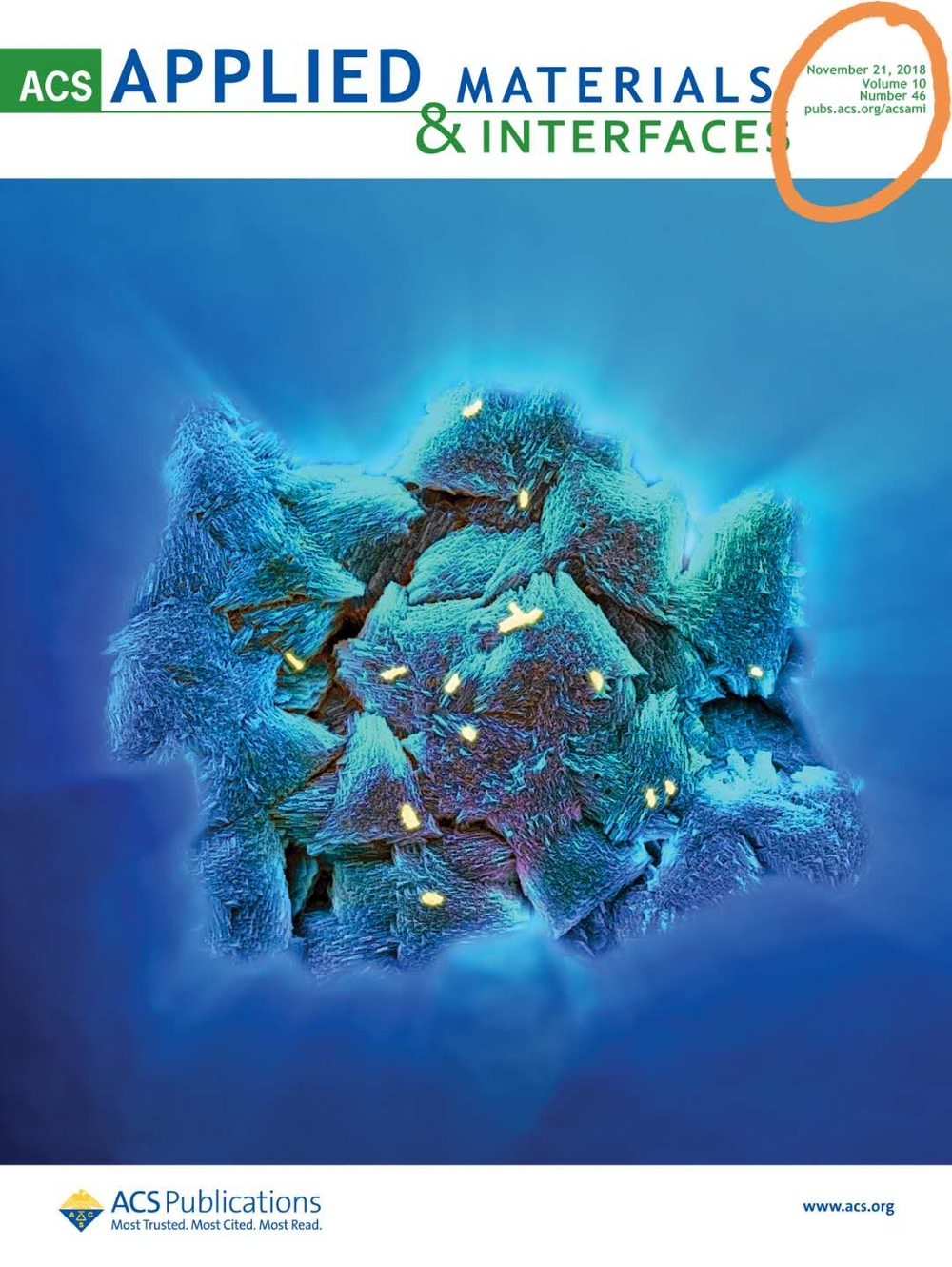 刘涛副教授科研团队研究成果被选为《美国化学会·应用材料及界面》杂志封面