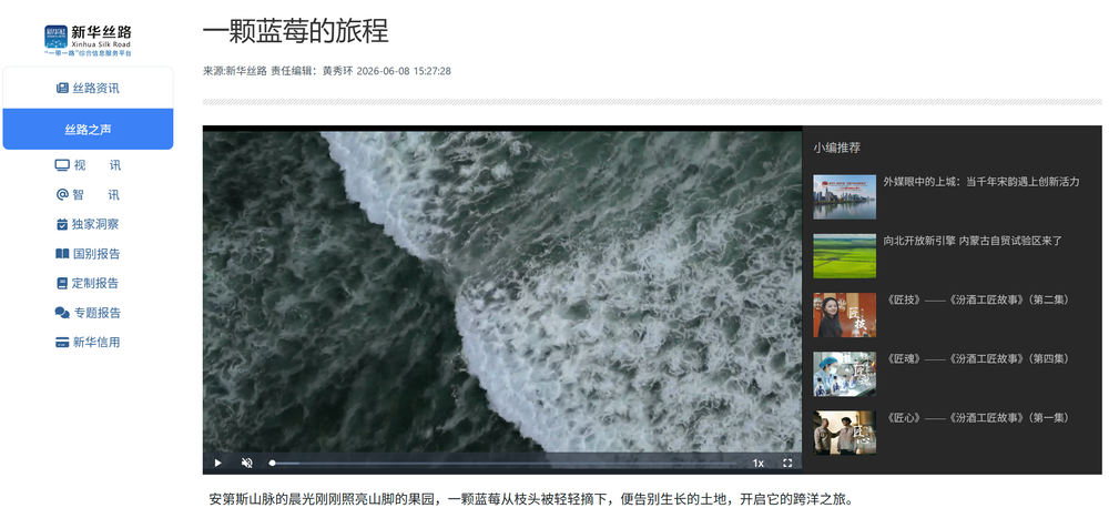 一颗蓝莓的旅程