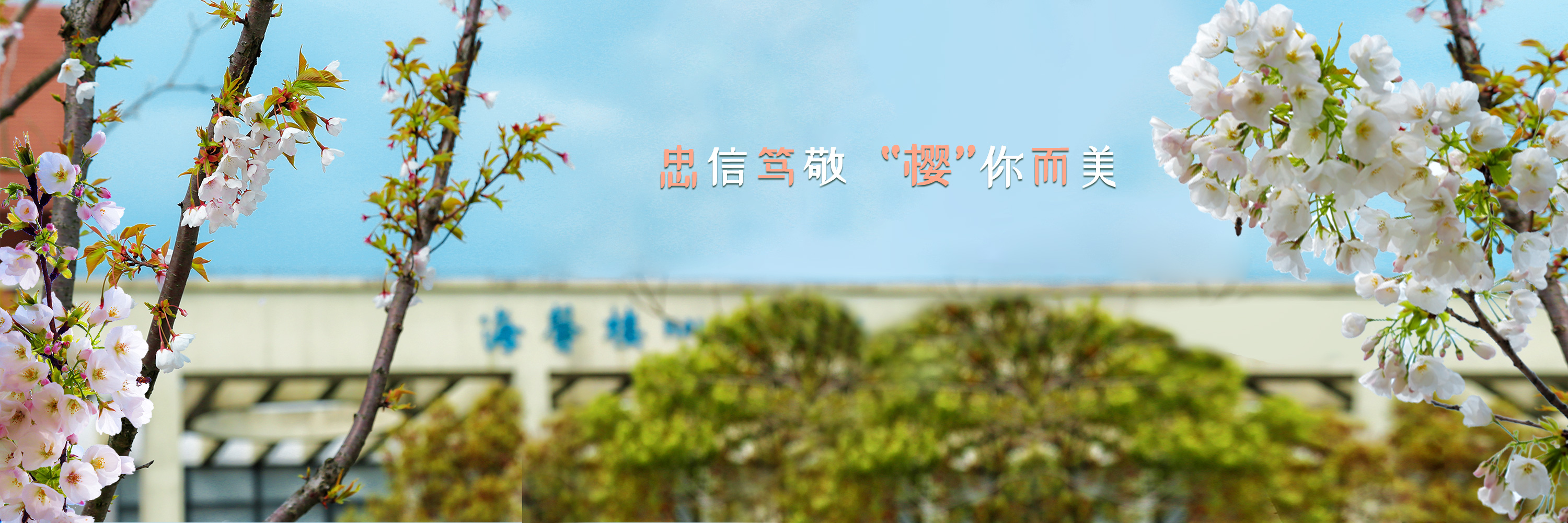 忠信笃敬 “樱”你而美