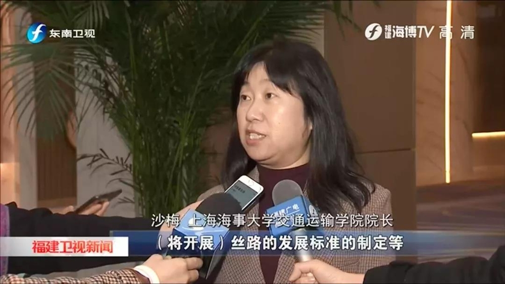 上海海事大学交通运输学院院长沙梅教授接受采访