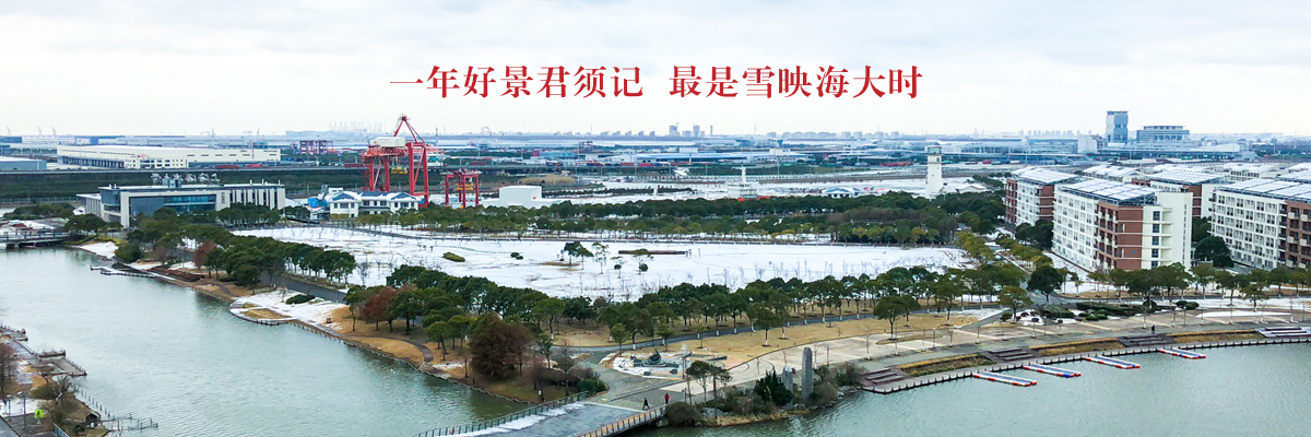 一年好景君须记 最是雪映海大时