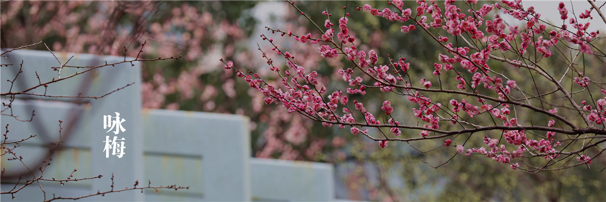 咏梅