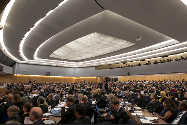  IMO第30届大会现场