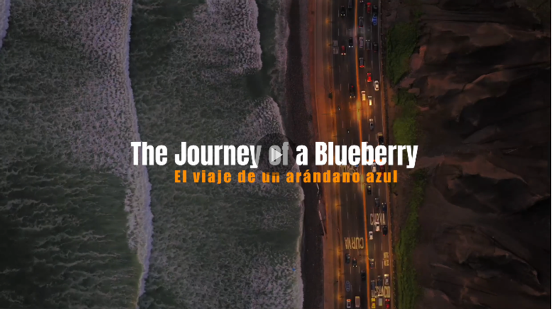The journey of a blueberry