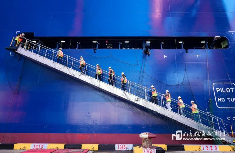 校企共育促成长！上海海事大学学子探访洋山港“巨无霸”