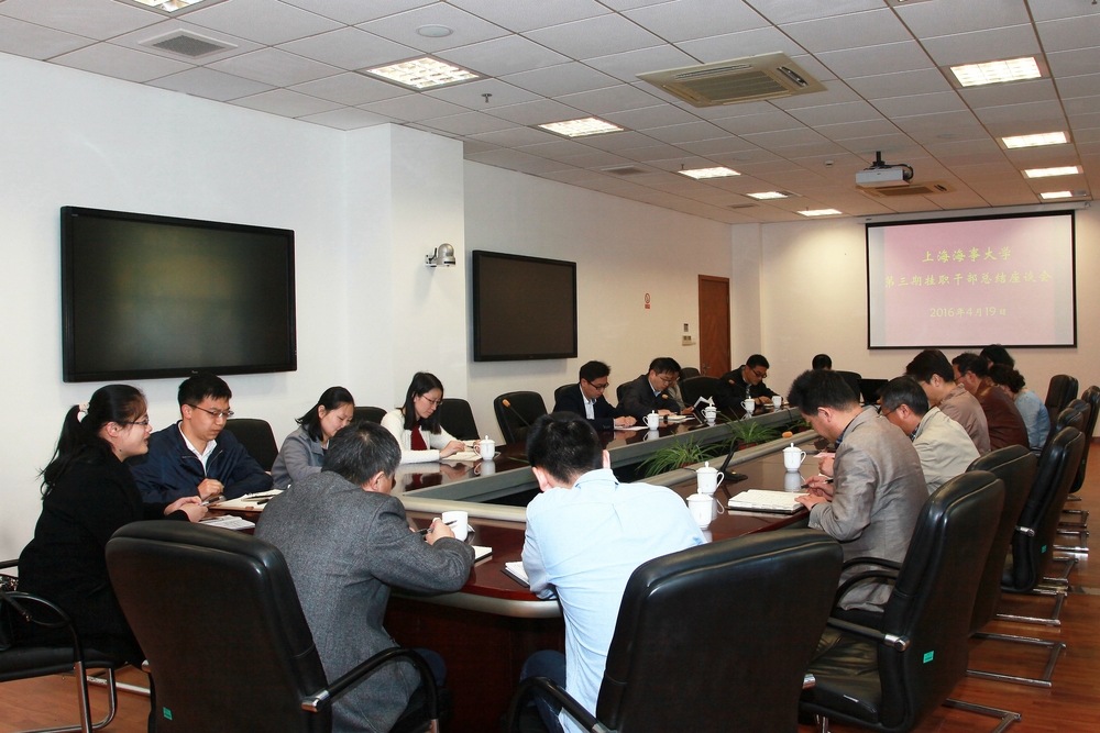 挂职干部总结座谈会