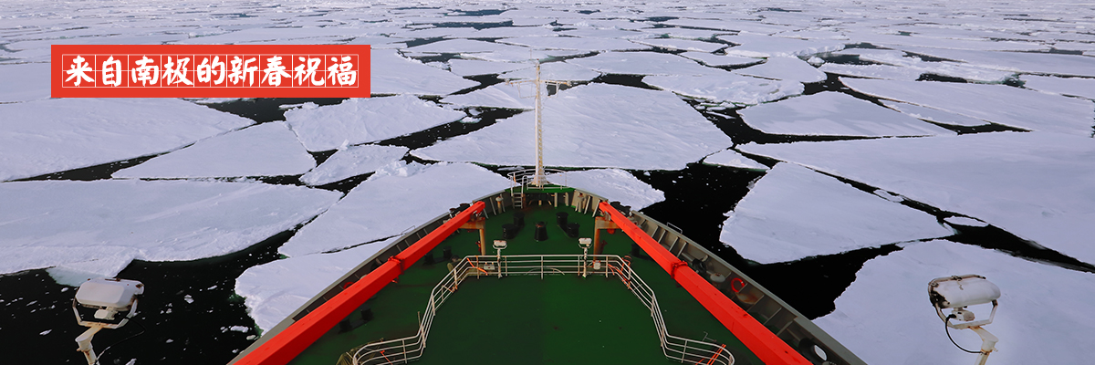 来自南极的新年祝福