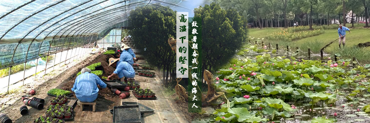 高温下的坚守——致敬暑期奋战一线的海大人