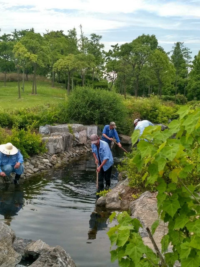 海燕山水系清理