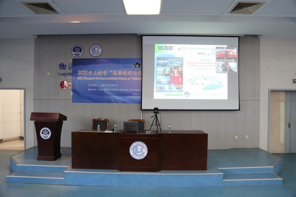 国际专家作在线报告