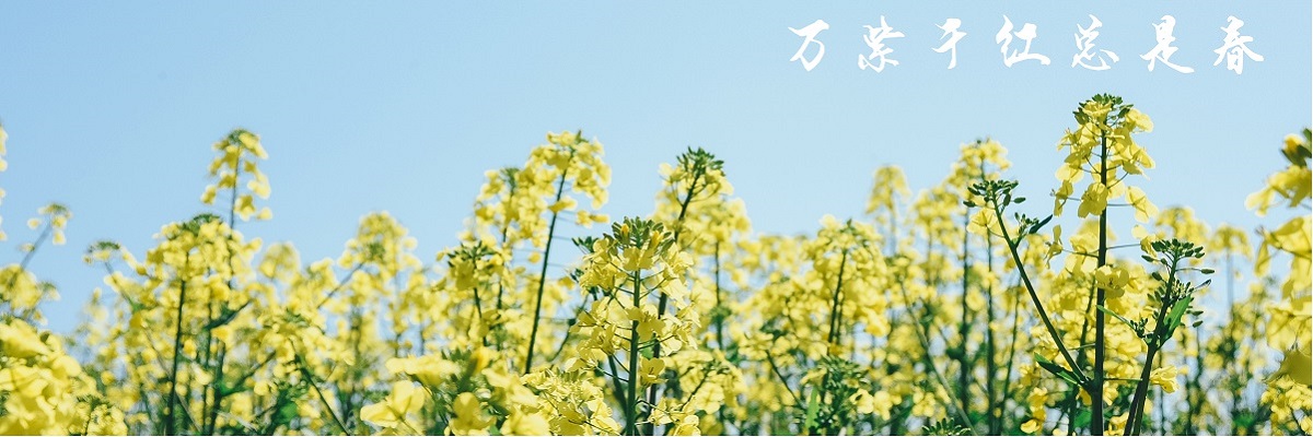 万紫千红总是春