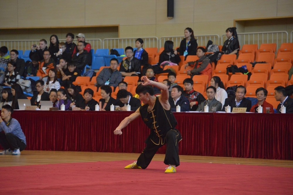 男子南拳冠军国航137夏银银