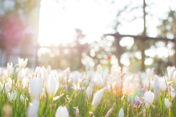 我们是祖国的未来