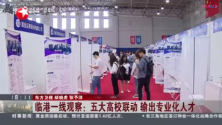 临港一线观察：五大高校联动 输出专业化人才