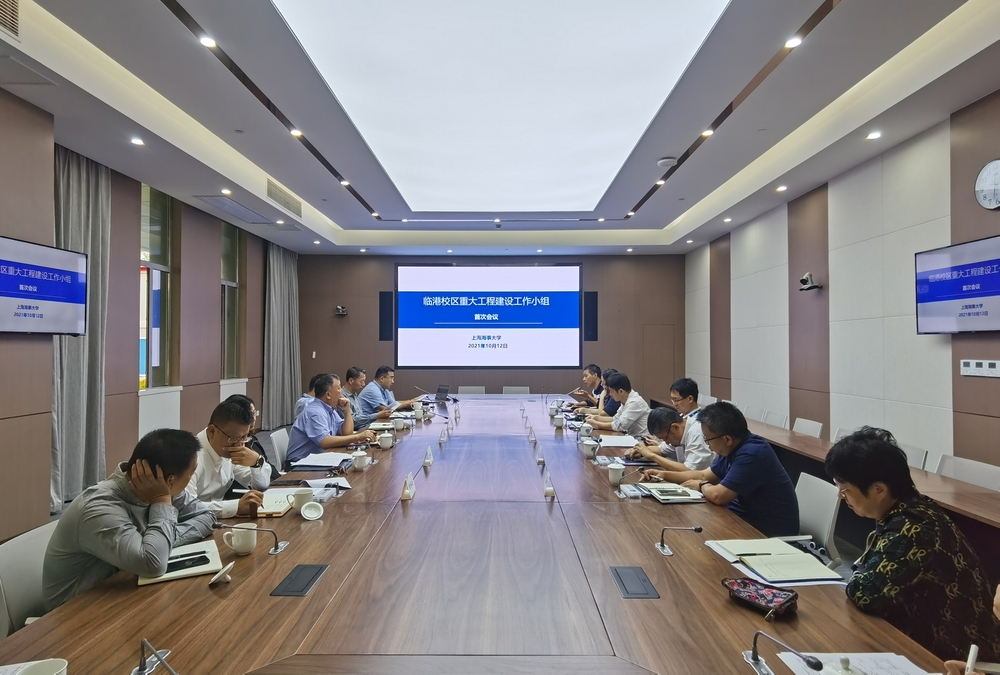 重大工程建设工作小组首次会议