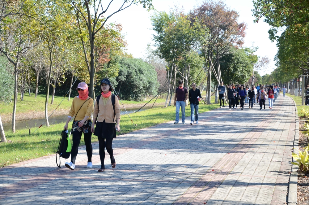用心感受临港秋景的绚烂