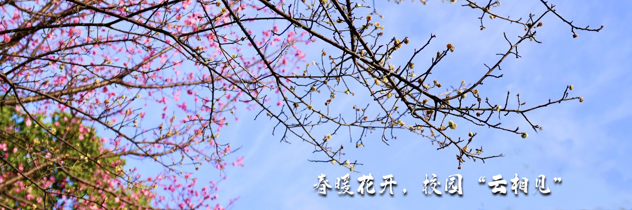 春暖花开，校园“云相见”