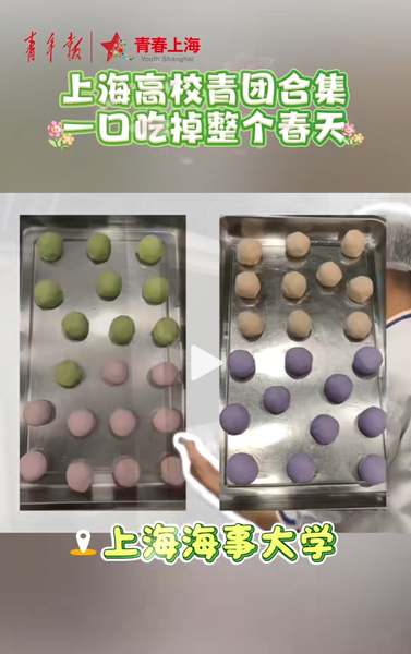 上海高校青团合集，一口吃掉整个春天!