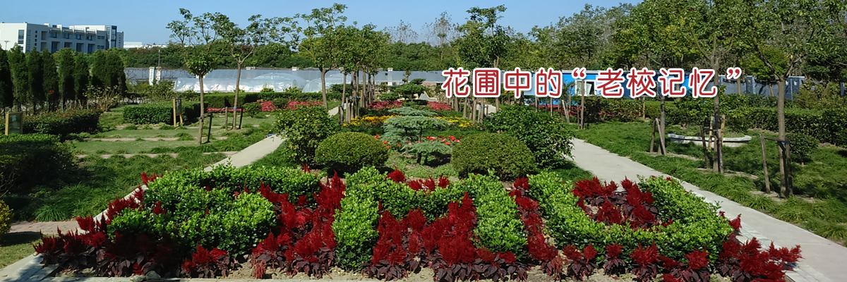 花圃中的“老校记忆”——上海海事大学花圃开园