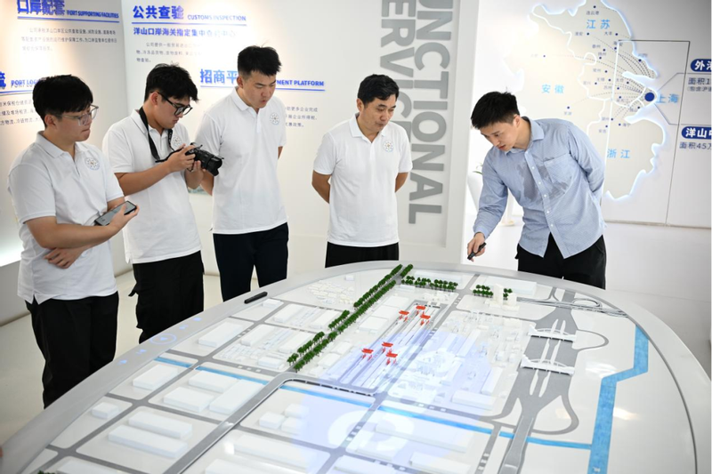从一只集装箱出发：上海海事大学扬帆实践队探寻洋山深水港高效运转的“秘密”