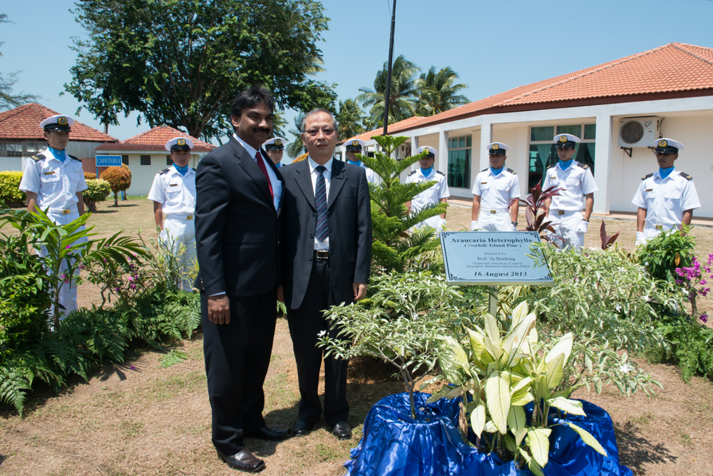 两校领导在於书记种下的友谊树前合影