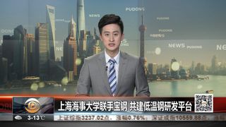 浦东电视台报道我校与宝钢共建低温钢研发平台