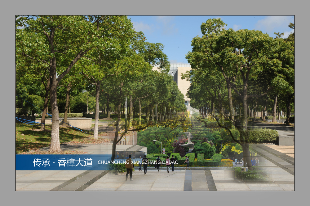 薪火相传