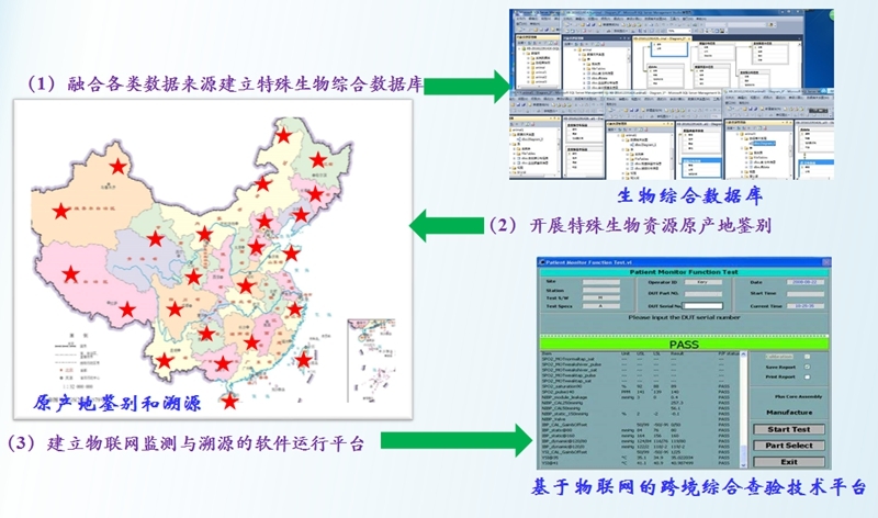 项目预期效果 项目预期效果