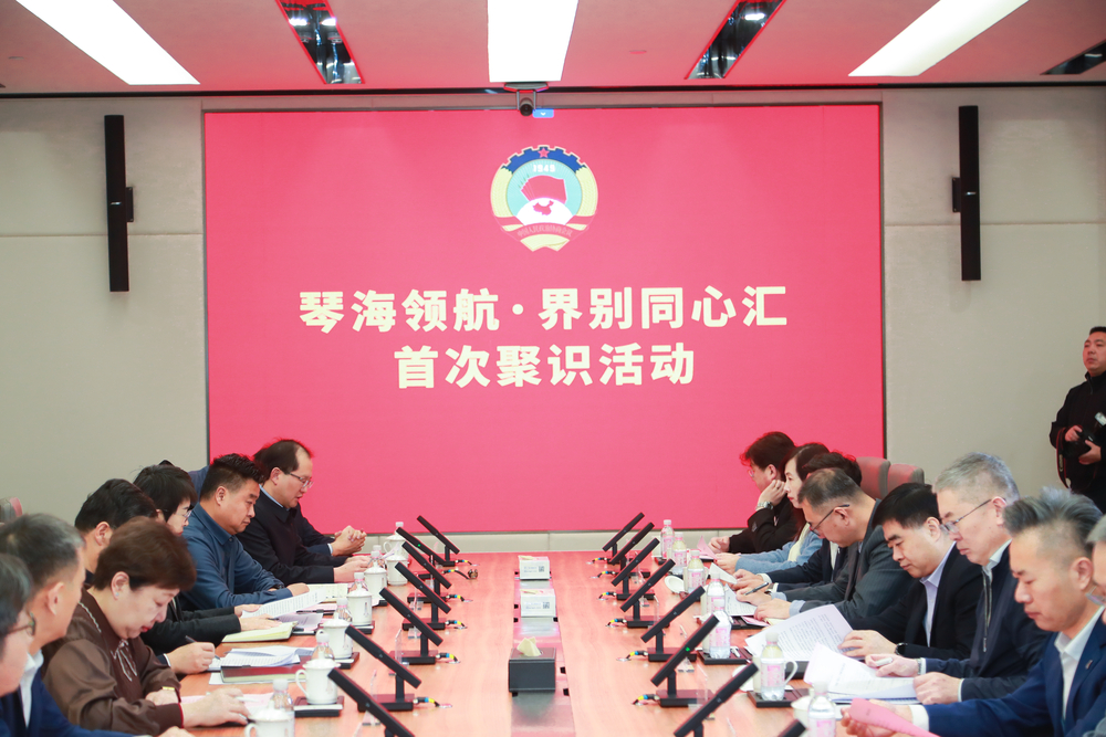 曹荣瑞副书记出席“琴海领航·界别同心汇”首次聚识活动