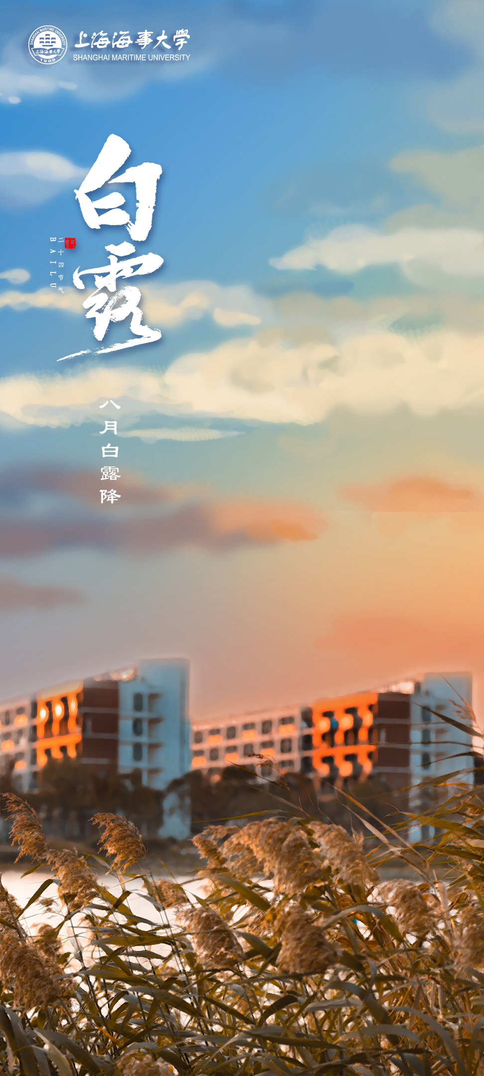 白露