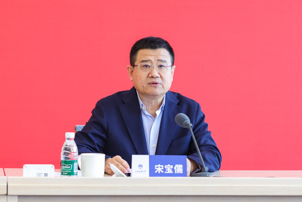 宋宝儒讲话
